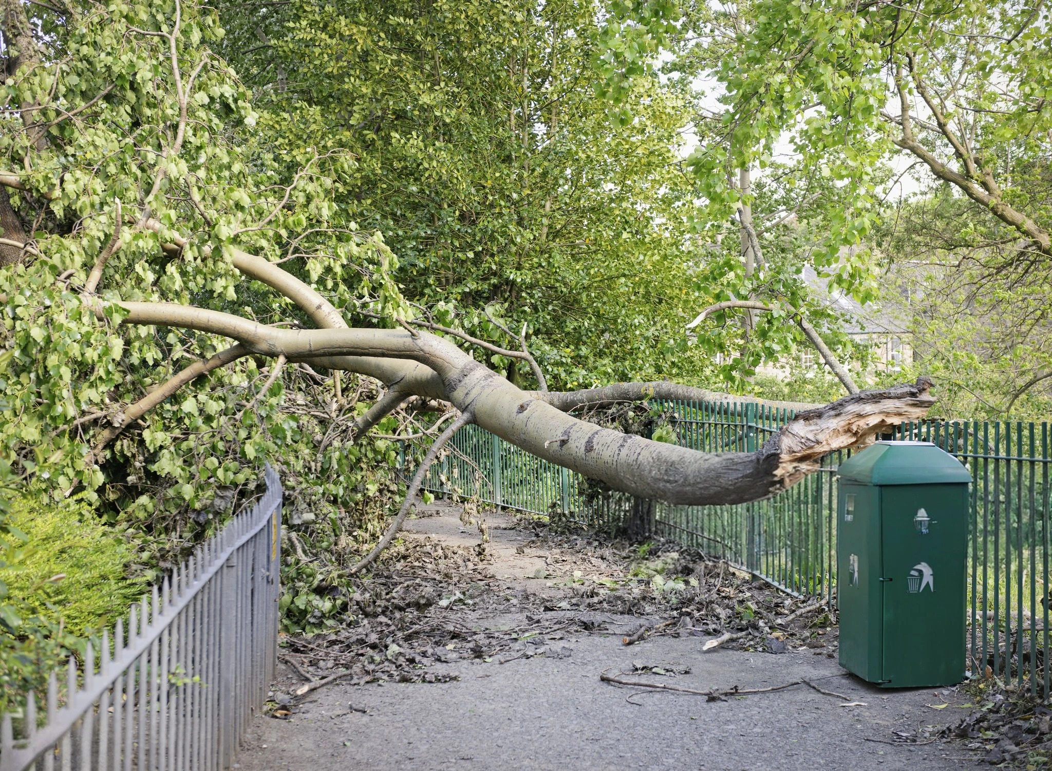 Different types of Encroachment
