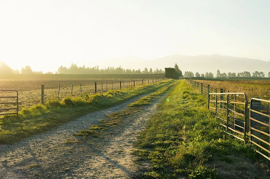 Different fencing methods: